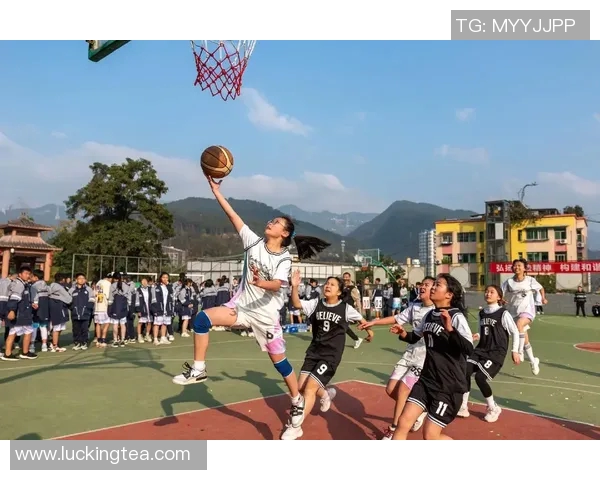 山西汾酒发布新一轮合作计划，致力拓展青少年篮球项目，助力校园篮球发展