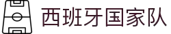 西班牙国家队 - 官方中文网站